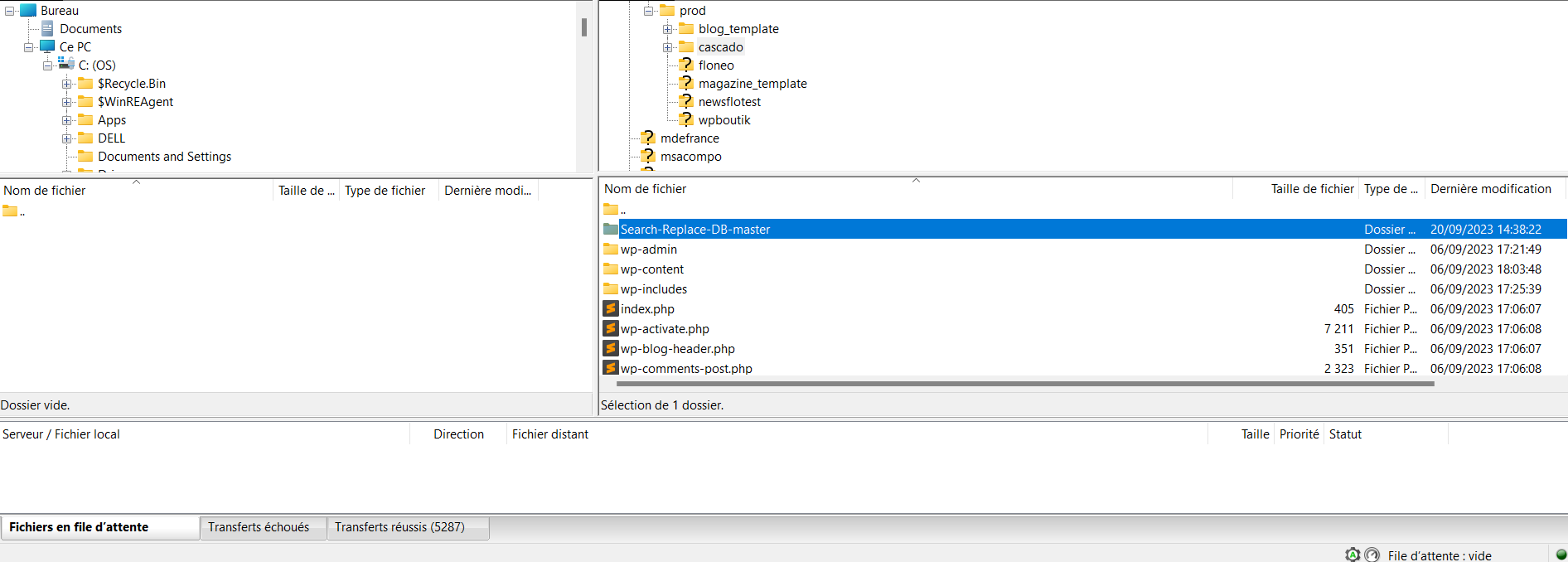 Installer Search Replace DB Master sur votre WordPress